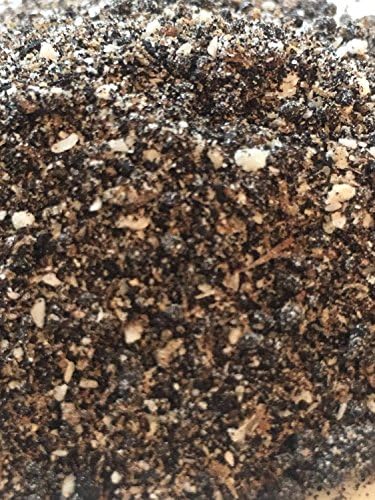 Earth I Mix -- 1.5 ounce -- 50 Servings -- 100% All Natural Organic Hermit Crab Food Mix Treat Bone, Blood, Feather, Worm Castings