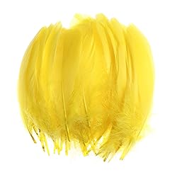 100PCS Natural Goose Feathers Decoration - Assorted