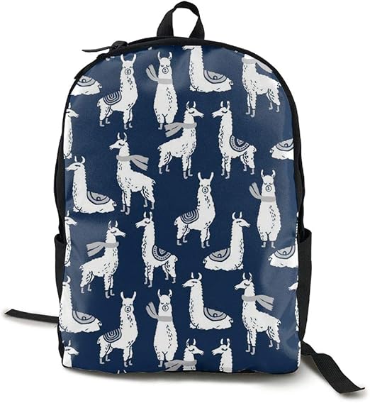 perfect college backpack