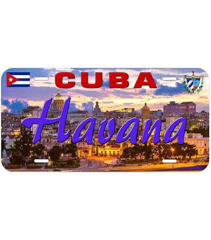 GACCAP Front License Plate Cover Car Decor Accessory