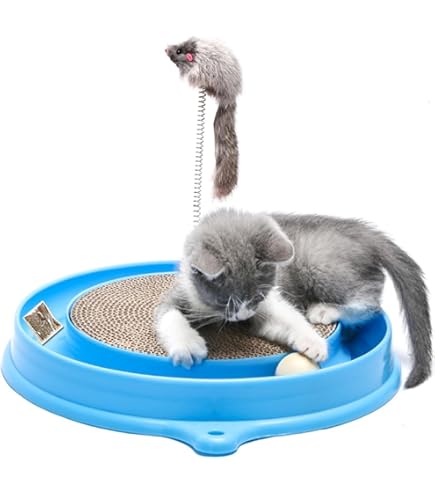 Amazon.com : Bergan 70128 16" X 1.88" Turbo Scratcher Cat Toy Assorted  Colors : Pet Supplies