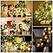 Kohree 12 Pack Fairy Lights Battery Operated, 7.2ft 20 LED Twinkle Mason Jar Lights Waterproof Mini String Copper Wire Firefly Starry Lights for Christmas Party Crafts Decoration,Warm White