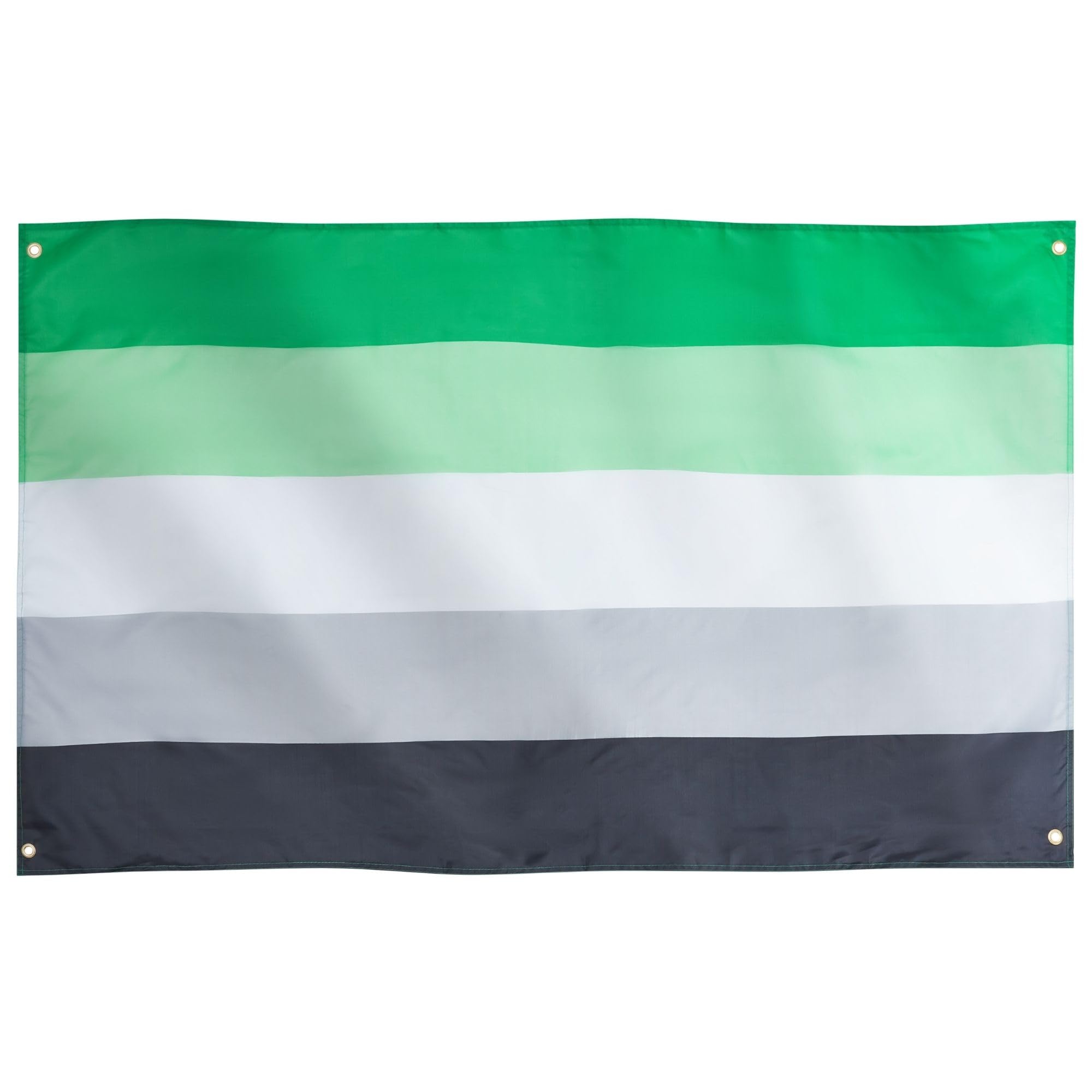 Runesol Aromantic Pride Flag, 91x152cm, 3ft x 5ft, 4 Grommets, Eyelet in Every Corner, Premium, Vivid Colours — image 1