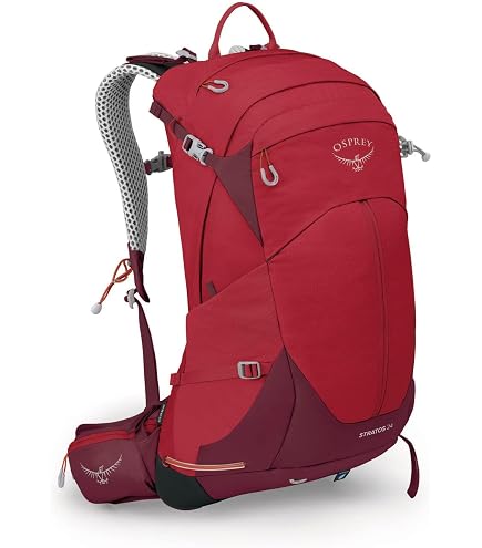 Amazon.com : Osprey Hikelite 26L Unisex Hiking Backpack – Lightweight Daypack with Breathable Backpanel and Raincover – Ideal for Day Hikes, Travel, and Everyday Use in Any Weather, Chameleon/Black : Sports & Outdoors