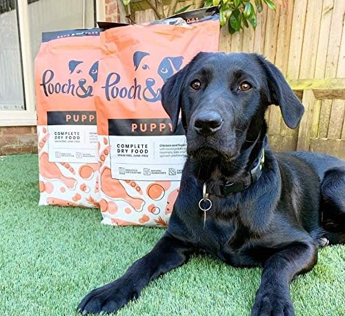 Pooch & Mutt - Puppy Superfood Complete Dry Dog Food Grain Free (Regular Sized Kibble), Chicken, 7.5kg (packaging may vary) - Image 5