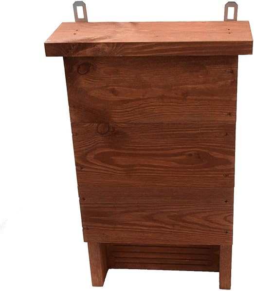GardenSeedsMarket Caja de murciélagos - marrón: Amazon.es: Jardín