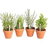 Amazon.de: Deko Küchenkräuter Set, 6 Stück, 12-21 cm