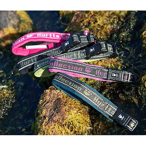 hurtta padded collar