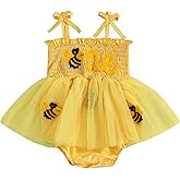 XRTBMN First Birthday Outfit Girl Infant Baby Embroidery One Smocked Bodysuit Sleeveless Tie Up Tulle Romper Dress