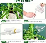 Heiqlay Plant Watering Devices 6 Pack Self Watering Globes Two Sizes view 6