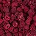 Harmony House Foods Freeze-Dried Whole Raspberries (3.5 oz, Quart Size Jar) - Set of 2