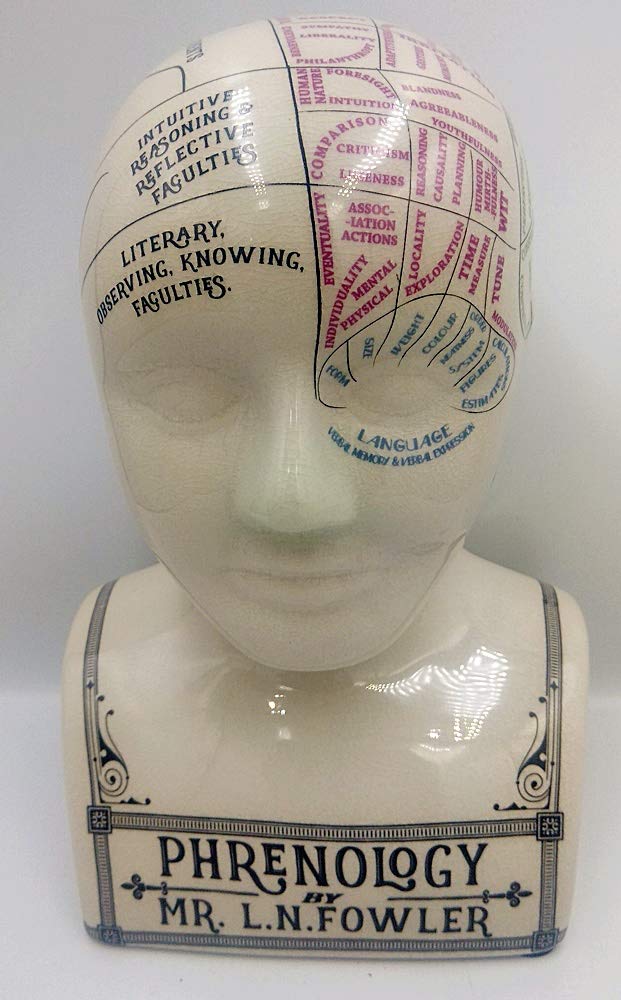 F&G Supplies Wonderful Crackle Ceramic Large Tattoo Phrenology head - A fun modern take on the Victorian art of Phrenology 30cm tall