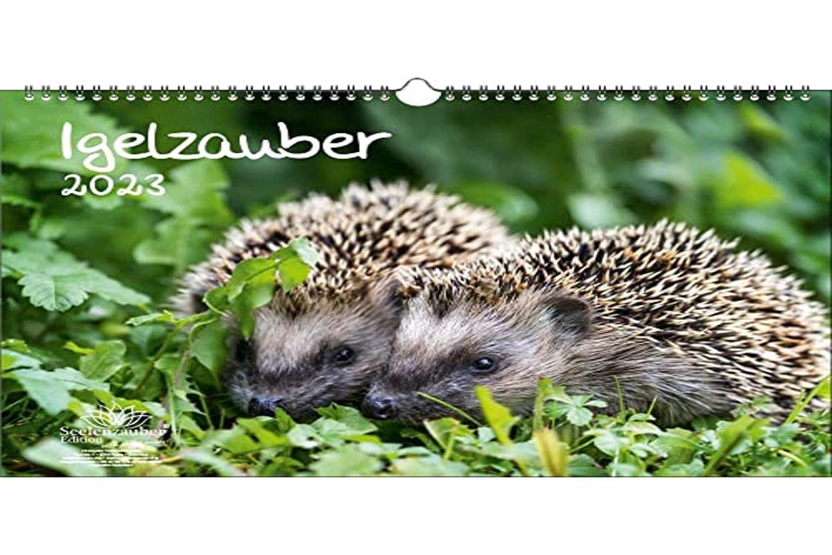 Hedgehog Magic DIN A3 Calendar for 2023 Hedgehog - Seelenzauber