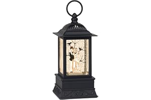 EYROSA Halloween Snow Globe, Skelenton Coupon Halloween Decorations for Home, Glitter Lantern Lighted Snowglobe Halloween Decor