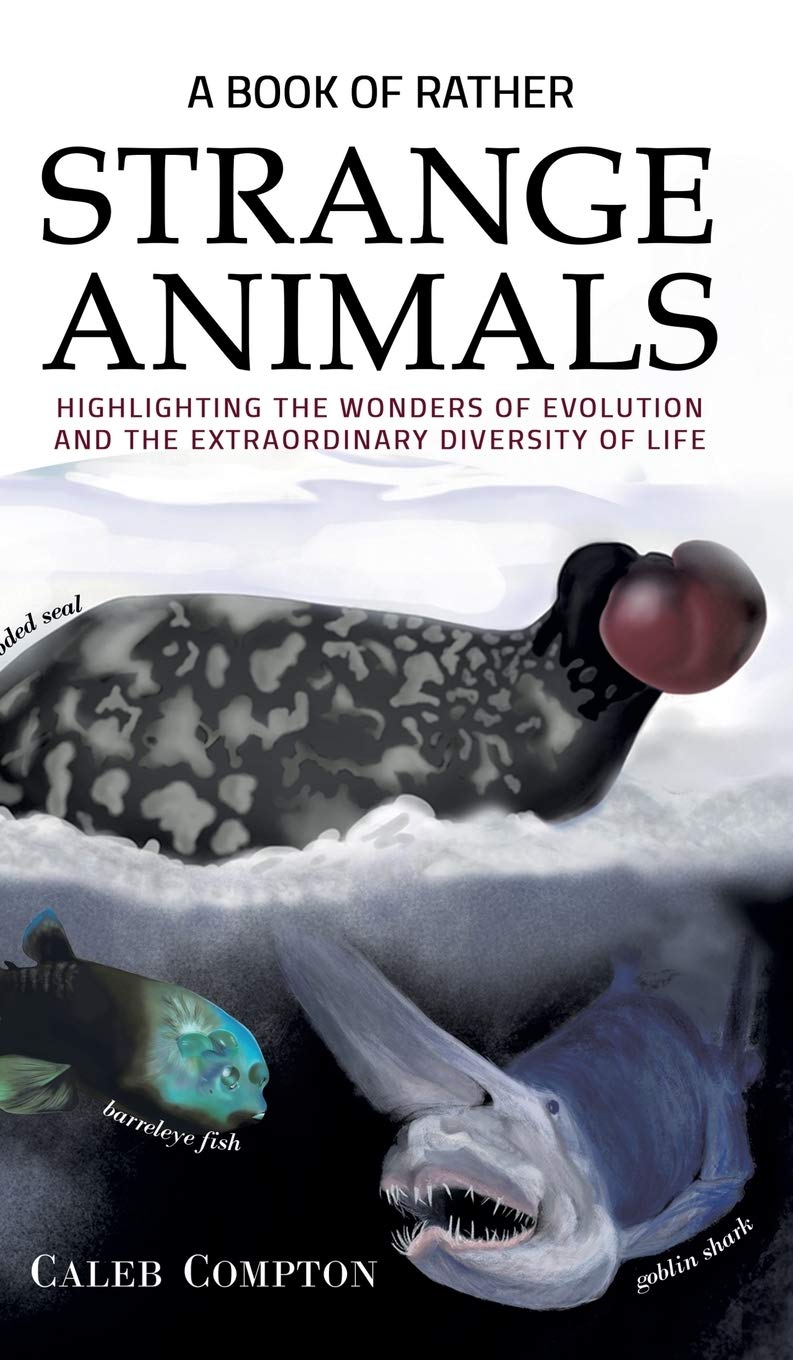 A Book Of Rather Strange Animals Highlighting The Wonders Of Evolution And The Extraordinary Diversity Of Life Compton Caleb Amazon Com Books