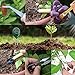 Soil Moisture Meter, Soil Ph Test Sunlight Tester with Bonsai Tools, 3 in 1 Soil Test Kit for PH/Moisture/Light, for Home and Garden, Lawn, Farm, Indoor & Outdoor Plants Care (No Battery Needed)thumb 4
