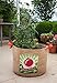 PANACEA PRODUCTS 84386  Grow Bag tomatoes , 20 gallonthumb 2