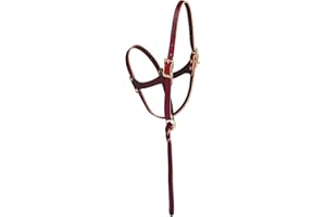 Weaver Leather Figure 8 Foal Halter, Russet, 5/8"