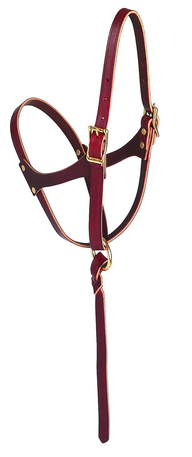 Weaver Leather Figure-8 Foal Halter