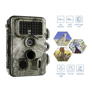 KD Cámara de Caza, 1080P Granja Vida Silvestre Seguridad Leva ...