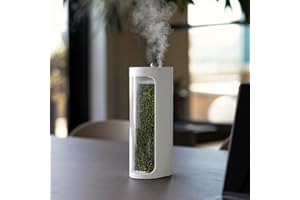 Mosslab Moss Air – Living Moss Terrarium Humidifier | Soothing Mist Fountain & Ambient Light | Zen Desk Decor, Aesthetic Room Decor | Portable & Whisper-Quiet
