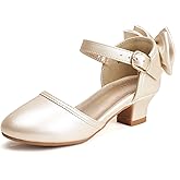 PANDANINJIA Wendy Girls Heels Dress Shoes Flower Girl Mary Jane Sandals Wedding Party Princess Shoes for Toddler Little Kid Big Kid