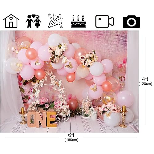 Bellicremas Butterflies Gold Pink First Birthday Photography