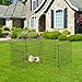 Rackaphile Small Dog Playpen Indoor, Small Animal Pet Playpen with Door DIY Metal Wire Portable Pet Fence Cage Kennel Crate for Cats, Puppy, Rabbit, Ferret, Guinea Pig, Bunny (8 Panels)