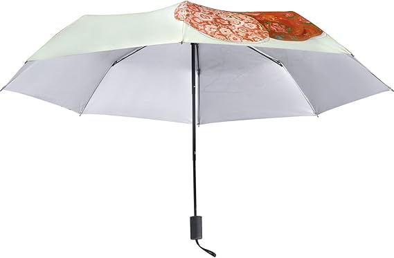 RPLIFE Regenschirm Ultraleicht - Schutz Bei Sonne & Regen