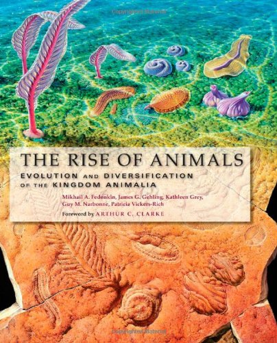 The Rise of Animals: Evolution and Diversification of the Kingdom Animalia