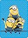 Universal Minions Pyramid Microraschel Throw, 46