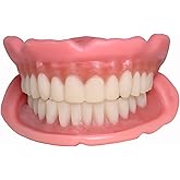 Easy Denture: Boil-&amp;-Bite Functional Denture, Self-fit at Home in Mins, Adjusts for Narrow or Wide Arches, Long-term or temporary Solution, Eat, Drink and Smile Confidently, Small/Medium Denture Set