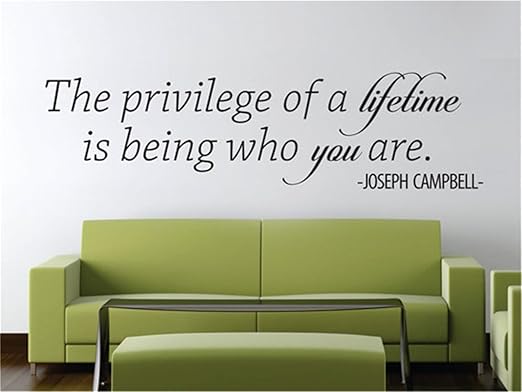 Amazon Com Gtrsa Joseph Campbell The Privilege Of A Lifetime Is