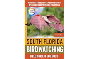 South Florida Birdwatching - Field Guide: A Beginner's Field Guide to 50 Well-Known Species with Comprehensive Notes (South Florida Bird Identification Book)