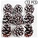 Outgeek Party Hanging Ornaments, 72 Pack Natural Pine Cone Pendant Set Wood Frosted Pinecone Ornaments for Kids Theme Party Wedding Garden Home Tree Decorations