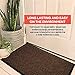 2-Pack Indoor Outdoor Floor Mats for Entryway, 17
