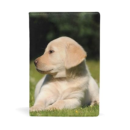 Amazoncom Blueviper Cute Baby Labrador Stretchable Fabric Book Amazoncom Blueviper Cute Baby Labrador Stretchable Fabric Book
