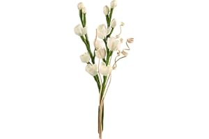 PROJECT WINE Reed Diffuser Flower Sticks, Diffuser Reeds Sticks, Reed Diffuser Stick, Green Branches White Rose Wood Flower Diffuser for Bedroom Bathroom, Room Fragrance, Home Office Decor (Color can Gradient)