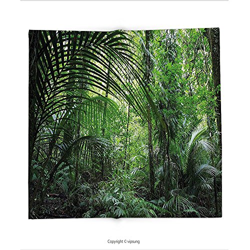 Custom printed Throw Blanket with Nature Tropical Jungle Forest Wilderness Trees and Fresh Grass Exotic Eco Botanical Growth Photo Green Super soft and Cozy Fleece Blanket