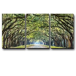 Three Piece Path Under an Arc of Trees...