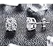 Silver Cubic Zirconia Earrings - Hypoallergenic Sterling Silver CZ Diamond Stud Earrings Nickel Free,Princess Cut Round Fake Diamond Studs Men Earrings,Gold Plated Earrings Stud for Women Girls