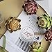 Li Hua Cat Artificial Artichoke Vegetables Wedding Party Home Decor Set of 6 (Large, Green)