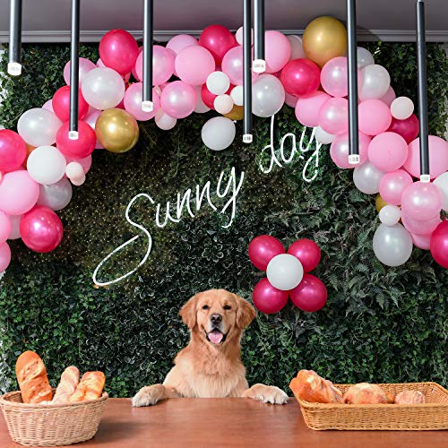 2 Balloons+Metallic+Pearlescent+Decorating+Balloon