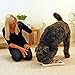 Company of Animals Nina Ottosson Dog Brick Interactive Game