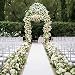 Healon Wedding Decorations White Aisle Runner 100 x 3 ft with Floral Print and Pull String for Xmas Christmas Thanksgiving primary