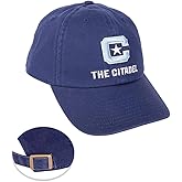 Desert Cactus The Citadel University Baseball Hat Military College of South Carolina Bulldogs Brimmed Embroidered Hats Cap Adjustable Cloth Strap Adult (Style 1) Blue