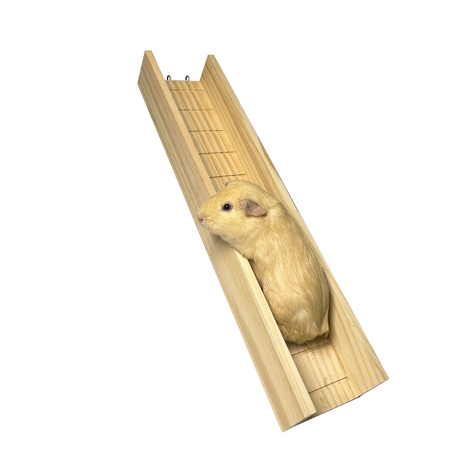 Photo 1 of Yulexpy Guinea Pig Bridge, Small Animal Wooden Ladder Ramp, Guinea Pig Cage Ramp Bridge, Guinea Pig Cage Accessories for Guinea Pigs, Ferrets, Chinchillas (Large)