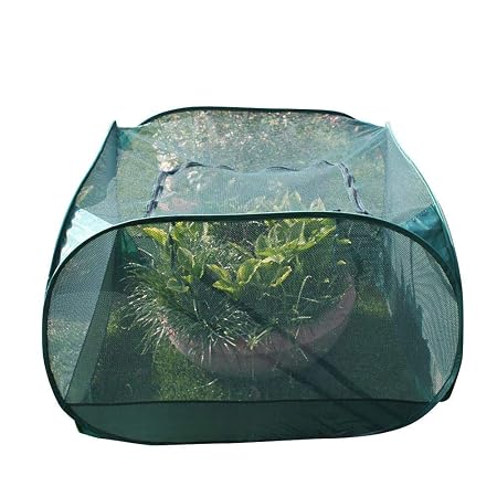 SinceY Garden Net, Jaula Protectora para Frutas Y Verduras ...