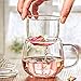 Cupwind 17 Ounce Borosilicate Glass Teacups with Infuser, Thickened Heat-Resistant Glass Tea Mug