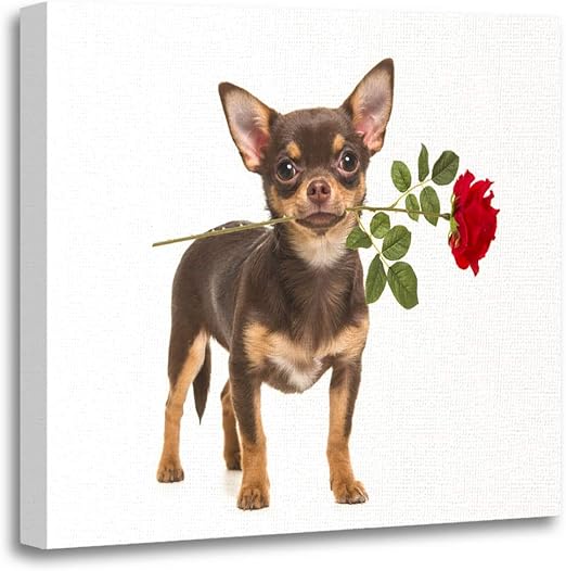 chihuahua canvas art